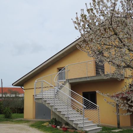 Il Ciliegio Vendégház Treglio Kültér fotó