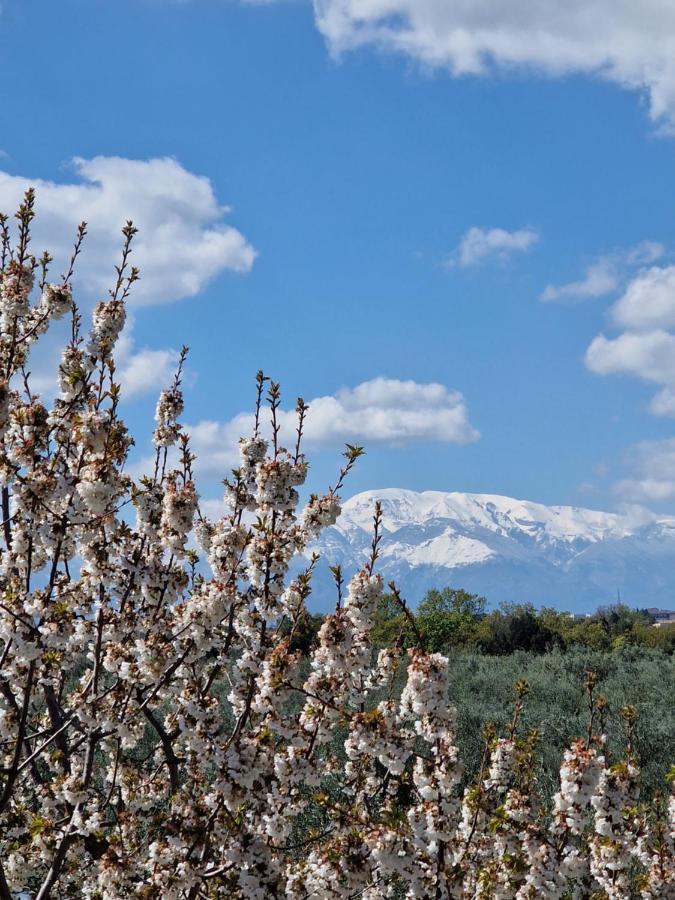 Il Ciliegio Vendégház Treglio Kültér fotó